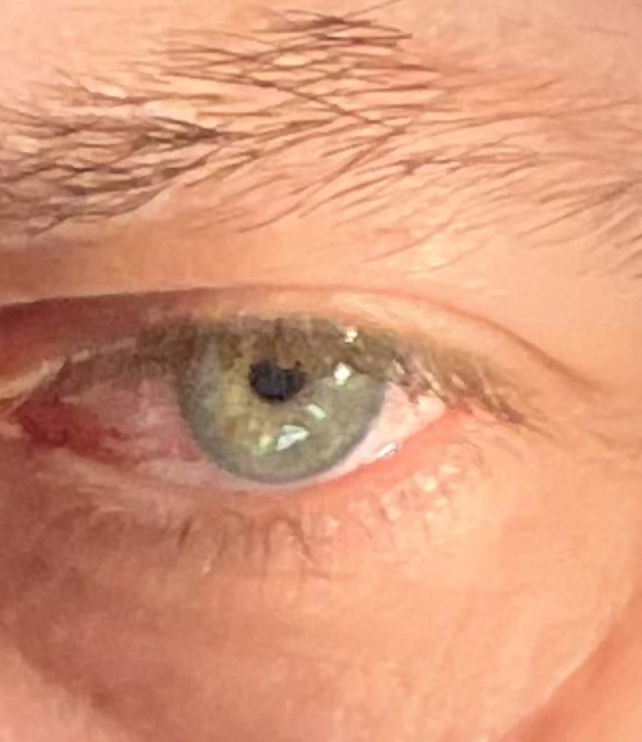 Profil de Jan